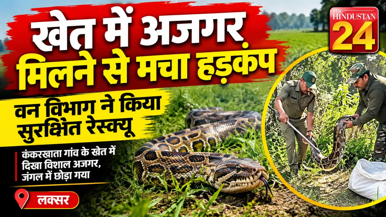 खेत में अजगर मिलने से मचा हड़कंप, वन विभाग ने किया सुरक्षित रेस्क्यू
